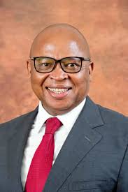 Deputy Minister of South African Police Services
